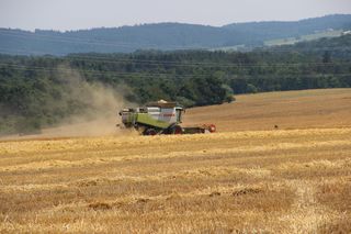 Žně 2015 - obrázek 1