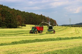 Sklizeň ozimého žita na zeleno 2019 - obrázek 2