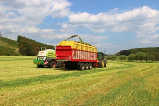 Sklizeň ozimého žita na zeleno 2019 - obrázek 7