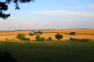 Žně 2019 - obrázek 17