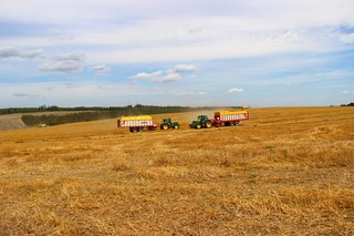 Žně 2019 - obrázek 35