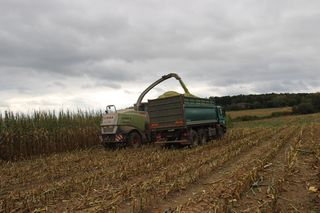 Sklizeň kukuřice 2021 - obrázek 18