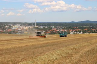 Žně 2024 - obrázek 4