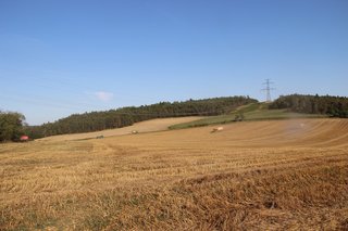 Žně 2024 - obrázek 26