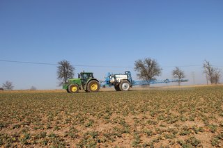 Jaro v rostlinné výrobě 2025 - obrázek 28