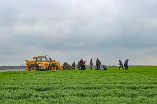 Jaro v rostlinné výrobě 2025 - obrázek 30