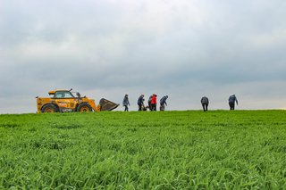Jaro v rostlinné výrobě 2025 - obrázek 32