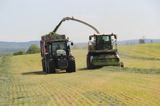 Senáže 2025 - obrázek 18