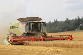 Žně 2025 - obrázek 2