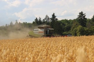 Žně 2025 - obrázek 8
