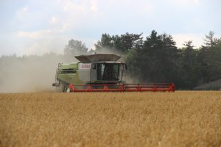 Žně 2025 - obrázek 9