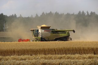 Žně 2025 - obrázek 10