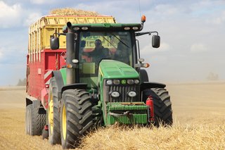 Žně 2025 - obrázek 19