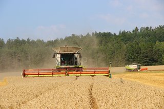 Žně 2025 - obrázek 30