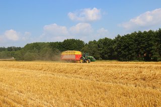 Žně 2025 - obrázek 32
