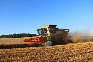 Žně 2025 - obrázek 35