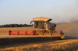 Žně 2025 - obrázek 45
