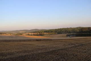 Žně 2025 - obrázek 47
