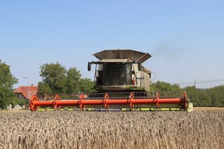 Žně 2025 - obrázek 50