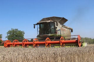 Žně 2025 - obrázek 51