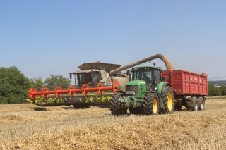 Žně 2025 - obrázek 55