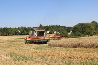 Žně 2025 - obrázek 58