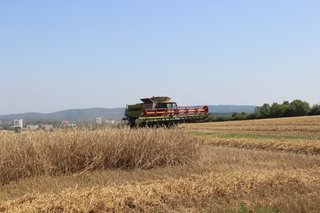 Žně 2025 - obrázek 59