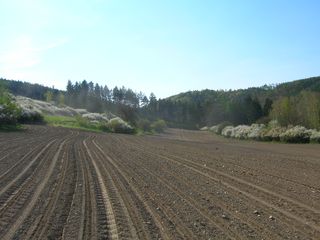 Různé práce v rostlinné výrobě 2011 - obrázek 13