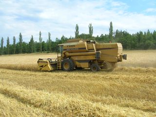 Žně 2011 - obrázek 5